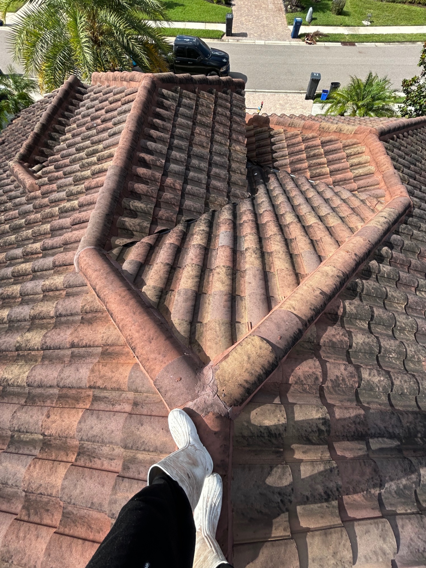 Tile Roof Soft-Wash Transformation before cleaning