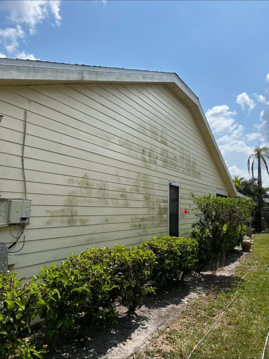 House Washing Before & After before cleaning