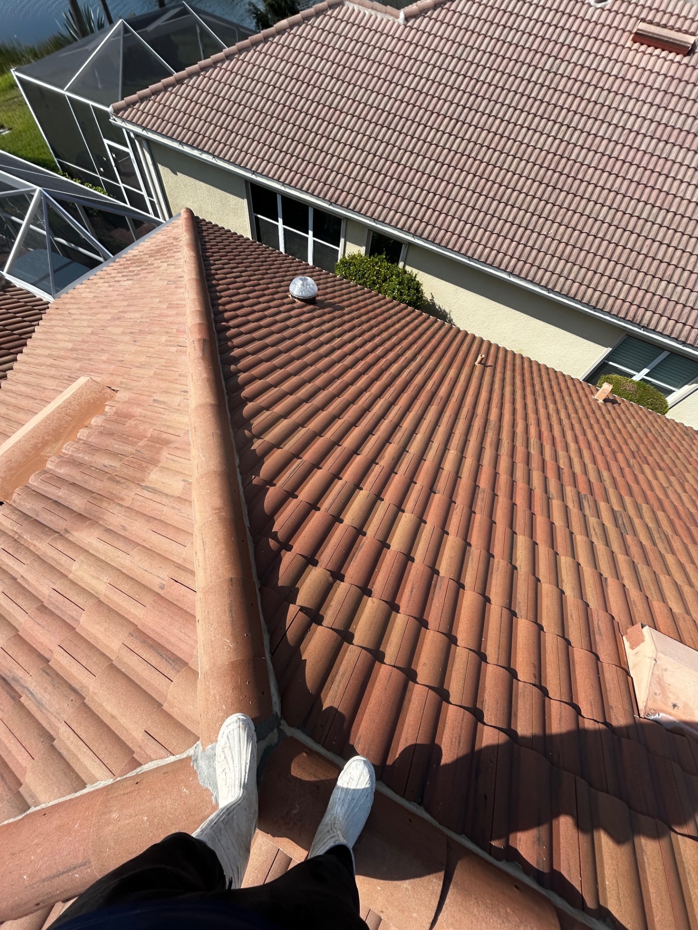 Algae & Black Streak Removal after cleaning