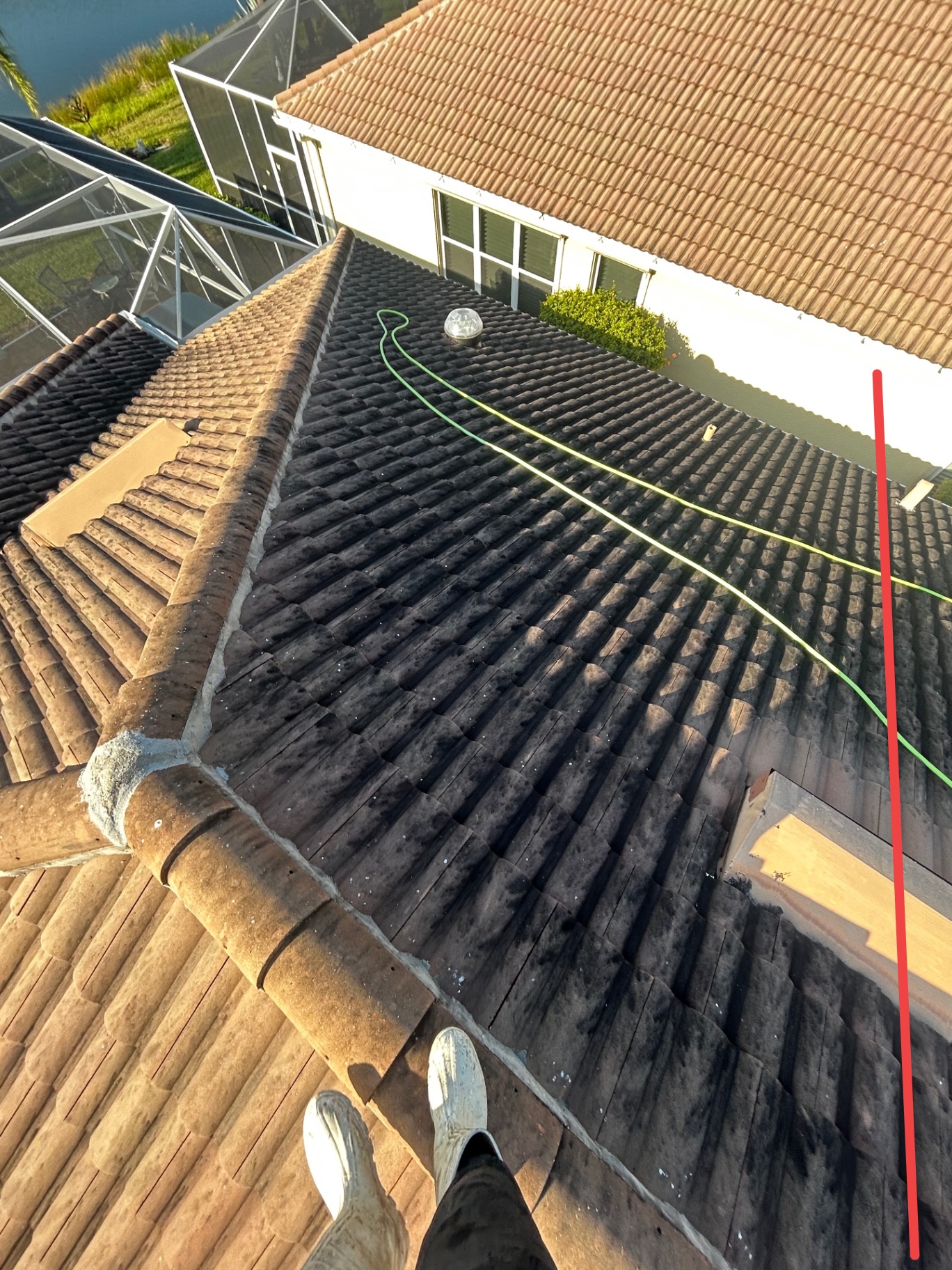 Algae & Black Streak Removal before cleaning